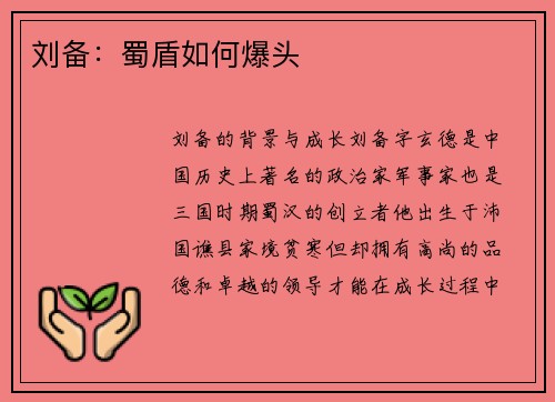 刘备:蜀盾如何爆头